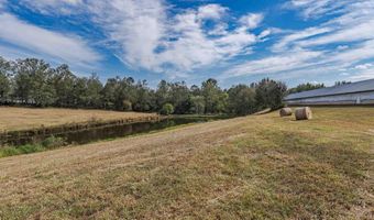 12954 Al Hwy 69 N, Baileyton, AL 35019