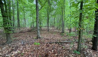 James River Road, Appomattox, VA 24522