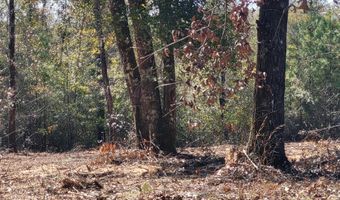 NW Tommy Tucker Road lot 1, Altha, FL 32421