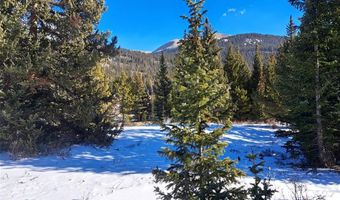 3553 RIVER Dr, Alma, CO 80420