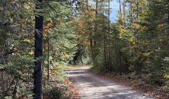 9415 Wreck Rd, Alpena, MI 49707
