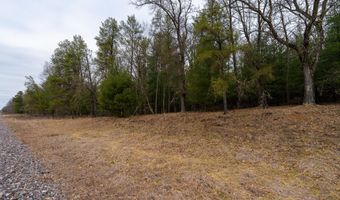 Dover Drive lot 1 14 Ac, Adams, WI 53910