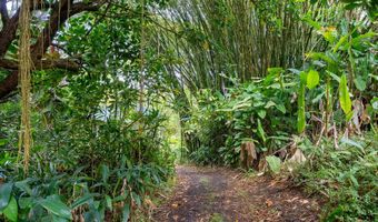 1600 Lower Nahiku Rd, Hana, HI 96713