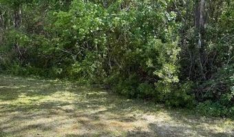 729 Royal Forest Dr, Auburndale, FL 33823