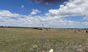 Tract 2 Argyle Road, Hot Springs, SD 57747