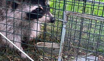 679 New Hope Church Rd, Barbourville, KY 40906