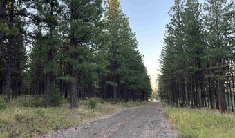 Tbd Harlow Ridge Rd - Cloverland Estates 36 & 37, Asotin, WA 99402