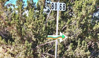 20 CO Rd, Concho, AZ 85924