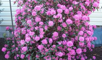 106 CREEKSIDE Dr, Dagsboro, DE 19939