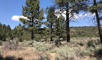 1 Butterfly Peak Rd, Mountain Center, CA 92561