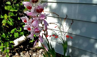 15961 BAY VIEW Dr, Brookings, OR 97415
