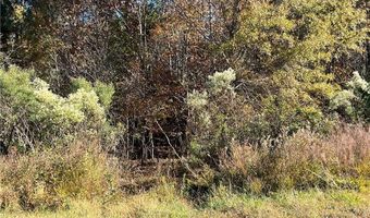 0 Hughes Farm Rd, Archdale, NC 27263