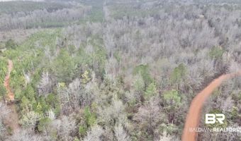 21000 Block Highway 21, Beatrice, AL 36425