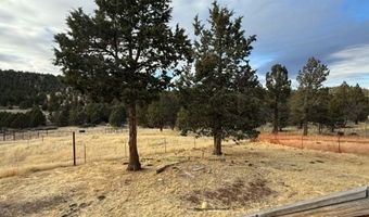 165 Coyote Dr, Alturas, CA 96101