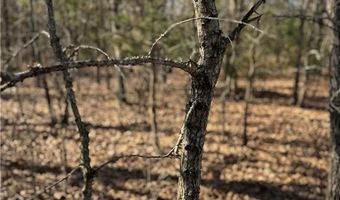 Tract 2 Rural Atoka, Atoka, OK 74525