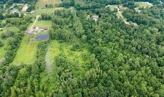 Birch Run Rd, Arbela, MI 48746