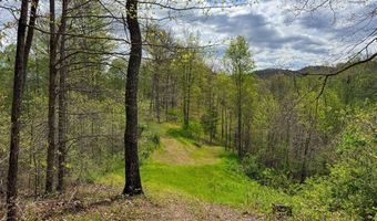 2789 Dry Fork Rd, Bandy, VA 24602