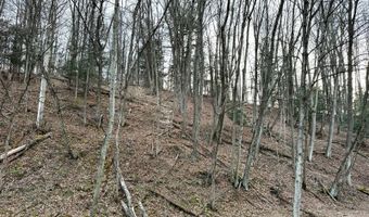 VL Lot 10 Brennan Road, Addison, NY 14801
