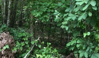 Lot 84 Buckeye Lane, Wilder, TN 38589