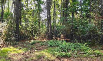 0 Lowery Rd Lot #10, Atmore, AL 36502