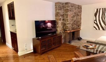 731 S Mill St 2C, Aspen, CO 81611