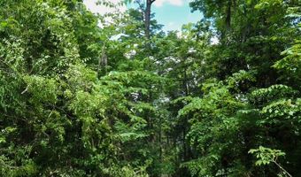 Lot 10 Booster Club Road, Bainbridge, GA 39819