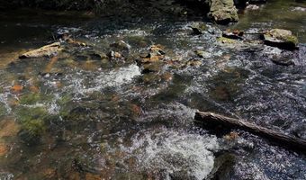 Coleman Mountain Road, Appomattox, VA 24522