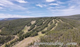 85 N FORK Rd, Centennial, WY 82055