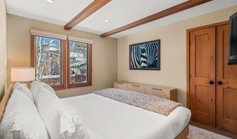 825 E Hopkins Ave 2S, Aspen, CO 81611