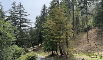 20313 WHALESHEAD Rd, Brookings, OR 97415