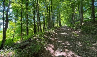 2636 Murphy Hill Rd, Andes, NY 13731