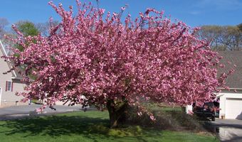 106 CREEKSIDE Dr, Dagsboro, DE 19939