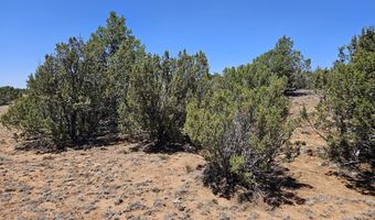 ACR N8388 and N8385, Concho, AZ 85924