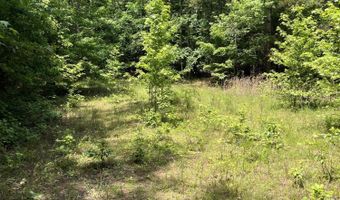 60150 N Harmony Rd, Amory, MS 38821