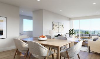 303 Juniper Ave Plan: 303 Juniper, Carlsbad, CA 92008