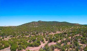 9 County Road 3036, Concho, AZ 85924