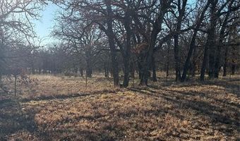 1190 N State HWY 220, Hico, TX 76457
