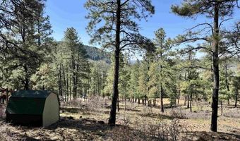 1142 Deer Ridge Dr, Bayfield, CO 81122