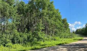 Tbd County 23, Akeley, MN 56433