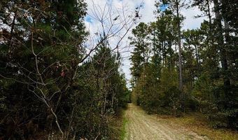 644 Ash-Harrel Loop, Abbeville, GA 31001