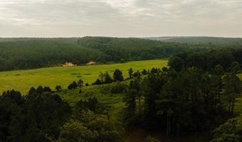 1037 Cr 300, Big Creek, MS 38914