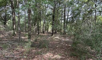 80 AC Old River Rd, Baker, FL 32531