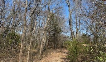 COUNTY ROAD 1575, Alba, TX 75410