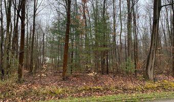 Lakeview Road, Andover, OH 44003