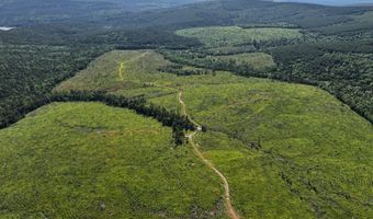 D4289 Road, Antlers, OK 74536