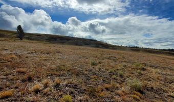 00 Cuddy Mountain Mineral Land, Cambridge, ID 83610