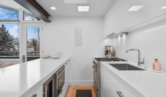 1001 E Cooper Ave 1, Aspen, CO 81611