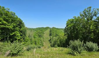 2315 Duckworth Ridge Rd, Alma, WV 26320