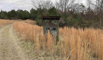 34655 Co Rd 49, Beaverton, AL 35544