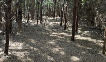 Old Buckhead Road, Bamberg, SC 29003